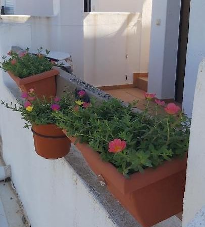 Condado De Alhama, Naranjos 8 Apartamento Alhama de Murcia Exterior foto